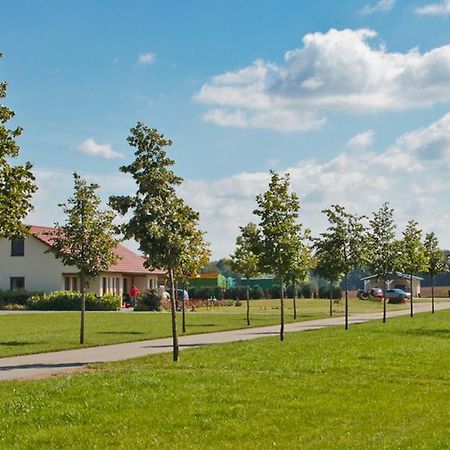 Ferienwohnung Hof Maiweg Alt Schonau Buitenkant foto