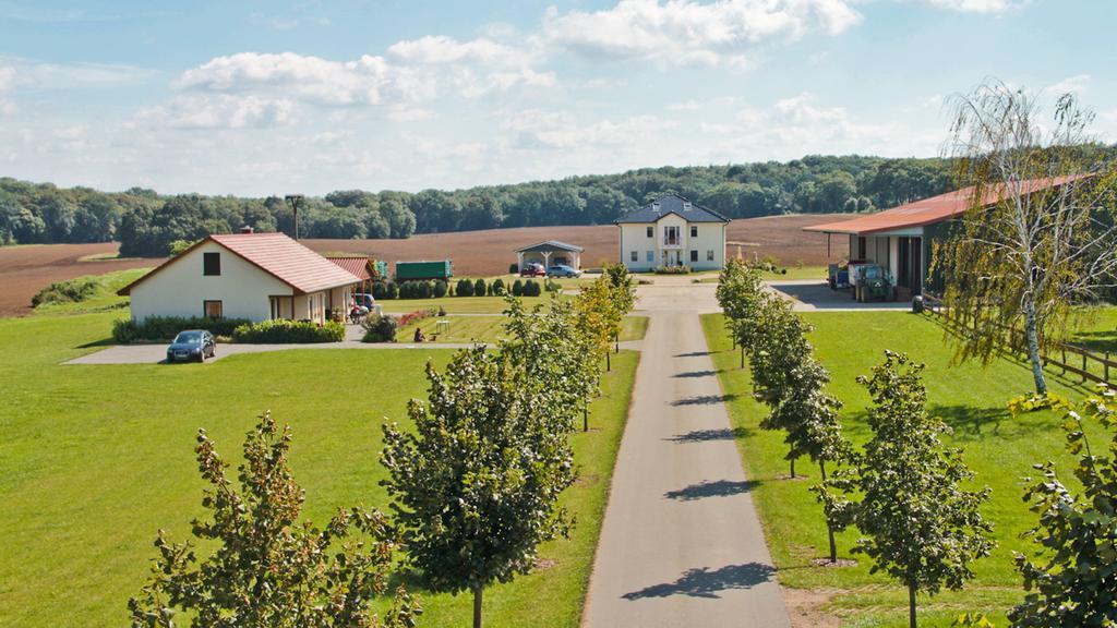 Ferienwohnung Hof Maiweg Alt Schonau Buitenkant foto